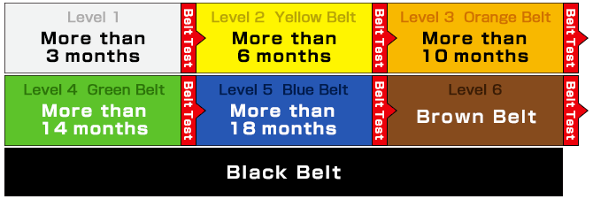 Belt System&Training
