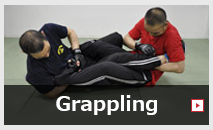 Grappling